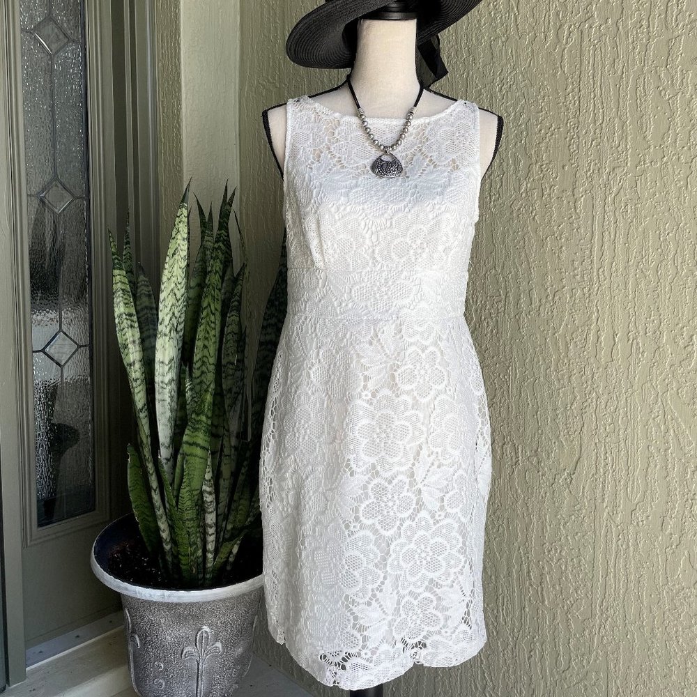 Stunning Lace overlay dress, Size 8 (NWOT)